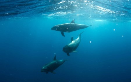 ranquet communication blog