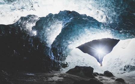 primal connections blog