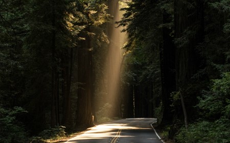 intuitive mind2 blog