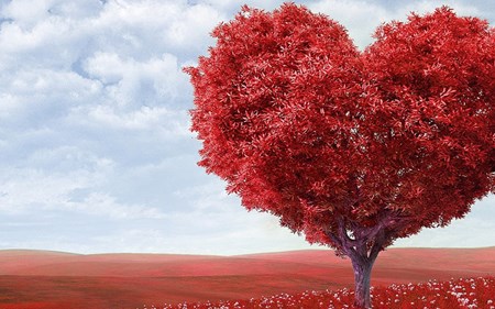 blog adrian castillo