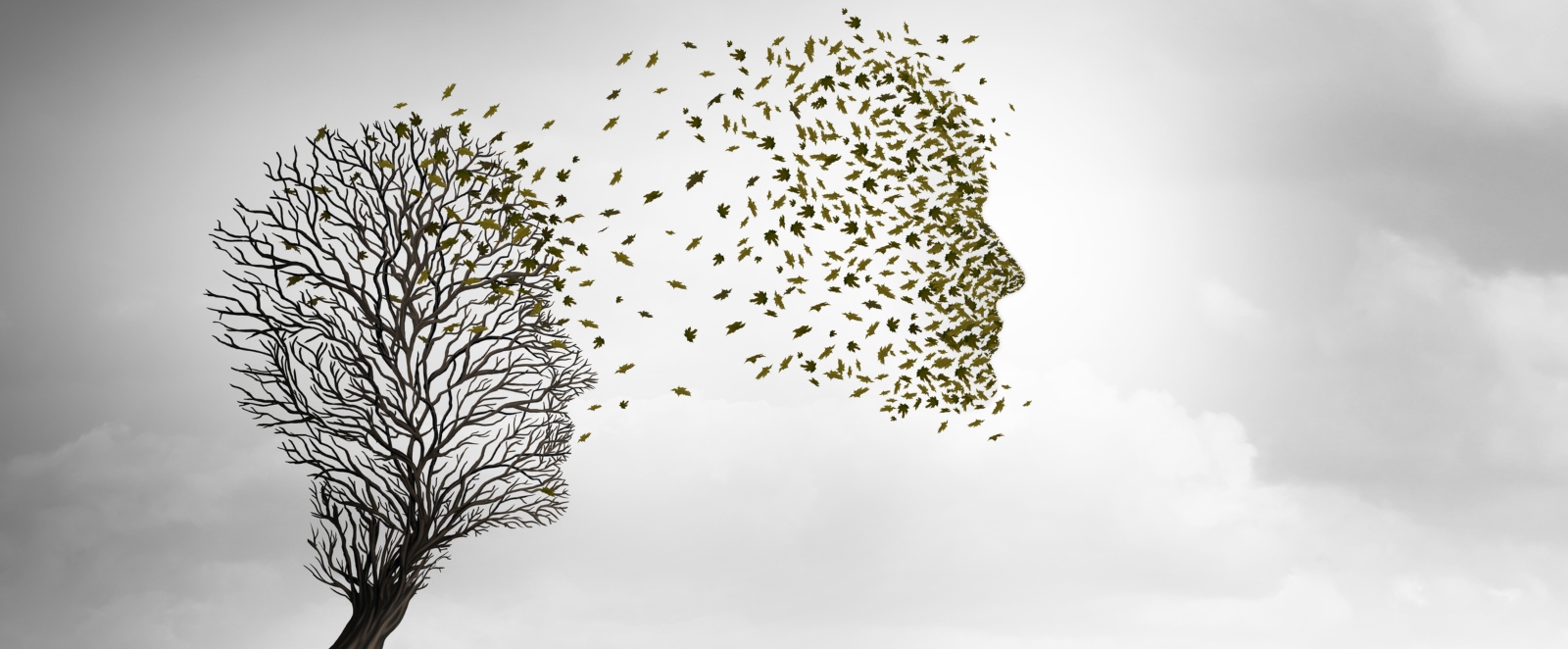 trasmigration 06052020 blog