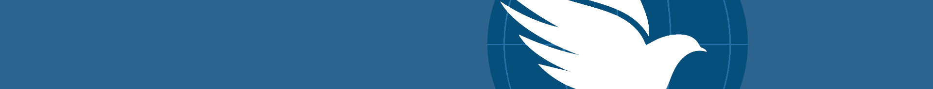 homepage fullwidth slim videobackground