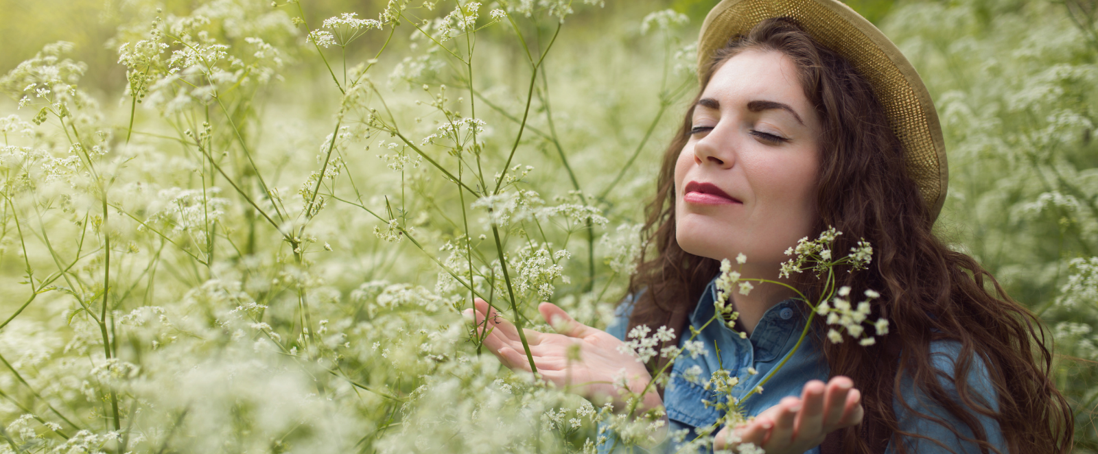 january 2022 enlightenment blog 1