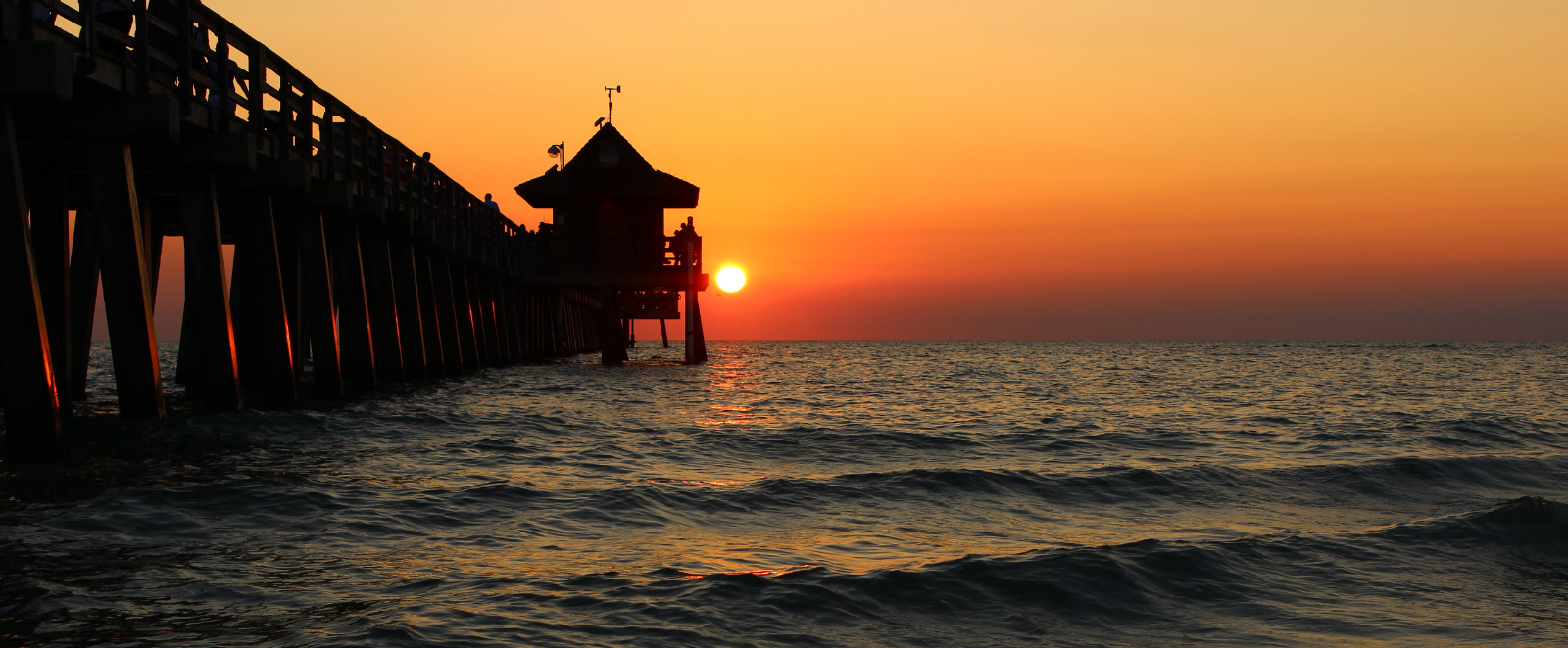 transitioning asfg blog