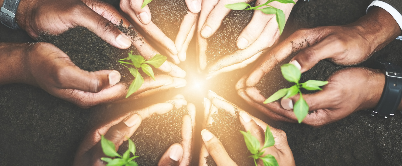 september enlightenment blog