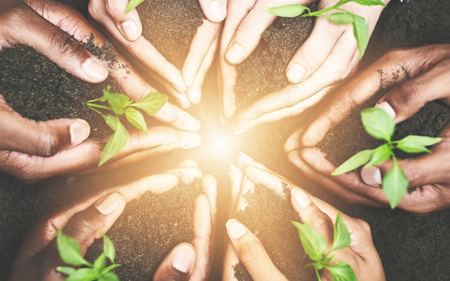 september enlightenment blog