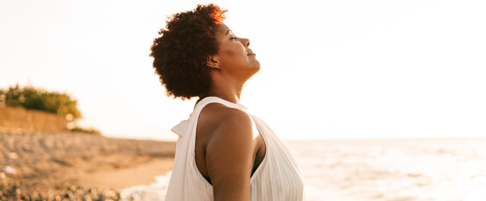 personal transformation blog web