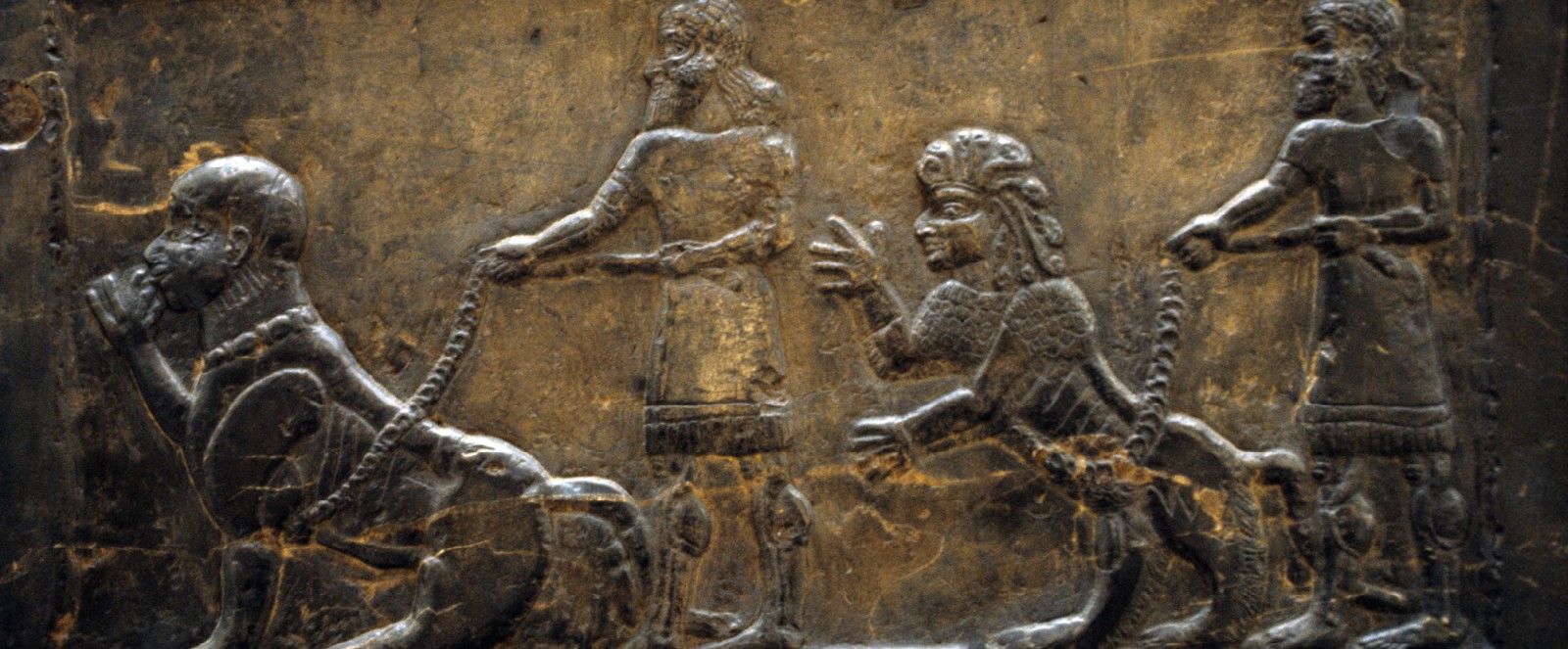 hybrids in the serapheum under sakkara in egypt