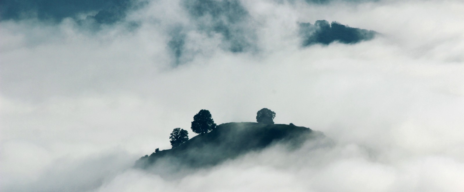 zombie apocalypse blog