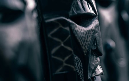 are we all shapeshifters